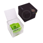 Scopri il Flowercube Rosa Verde 6X6: armonia e libertà per il tuo spazio, con un design elegante che celebra la bellezza della natura."