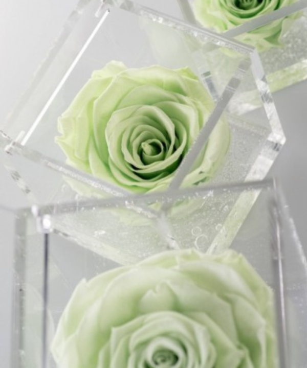 verde-flowercube