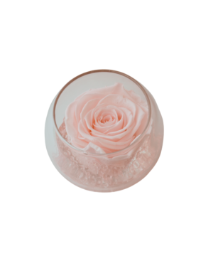 Il FLOWERCUBE Rosa Pastello BOCCIA da 8 cm con fondo effetto pietra unisce la delicatezza del colore rosa pastello