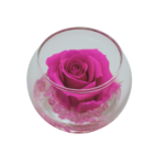 Flowercube Fucsia Boccia Fondo Effetto Pietra 10 cm con rosa stabilizzata fucsia e base naturale, ideale per decorazioni vivaci e sofisticate.