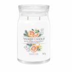 Candela Yankee Candle White Spruce & Grapefruit Grande, fragranza agrumata e boschiva, giara bianca elegante.
