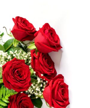Rose rosse a gambo lungo confezionate con eleganza da Orchidea, simbolo di amore e passione